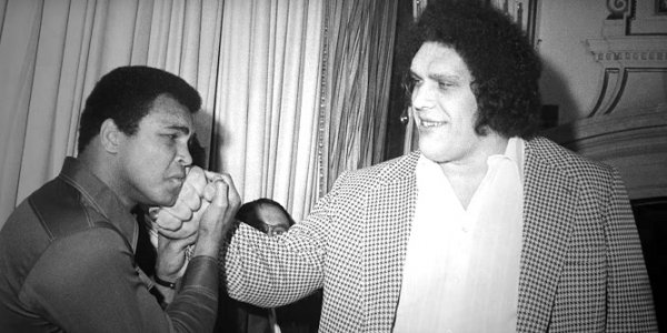 Andre'.jpg