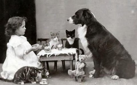 Teatime @.jpg