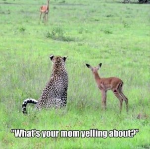 IMG_4235.jpeg