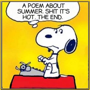 summer.jpg