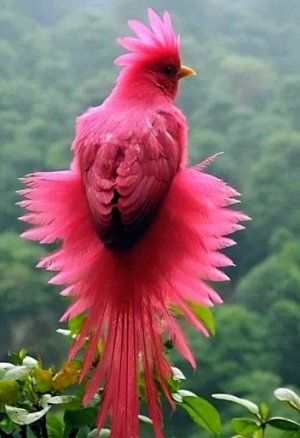 tumblr_ae337d8b063a75fab845bc28af87cde0_5f608c78_1280.jpg