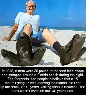 IMG_4178.jpeg