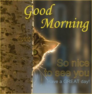 1edc4d11a4b297a163e0c4a754304825--vel-see-you.jpg