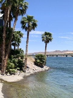 IMG_1482.jpeg