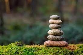 082123zen.jpg