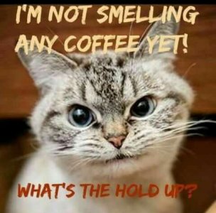 605b8c17fdc917f2fdbcee5f81255ae5.jpg