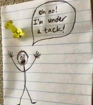 IMG_2081.jpeg