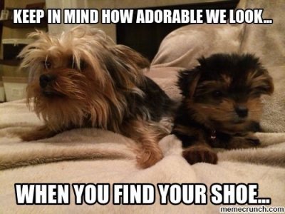 1258738C-962A-4BAC-BD6C-D5621DF861F9.jpeg