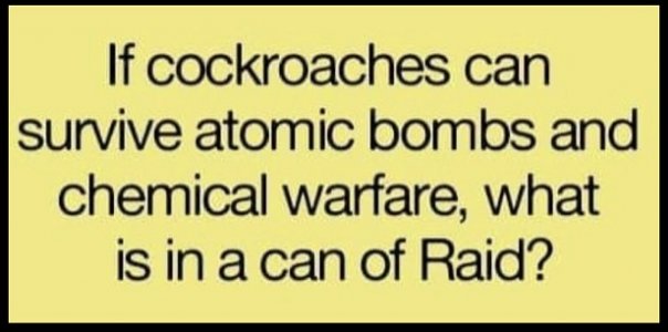 can of raid.jpg