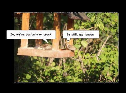 cracked 2.jpg