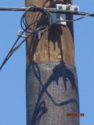 DSC03276.JPG DSC03276.JPG