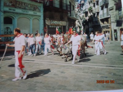 DSC03280.JPG