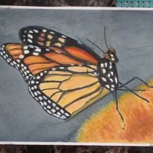 IMG_1285.JPG