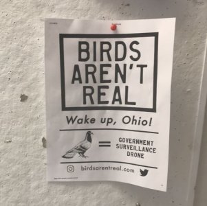 signs2.jpg