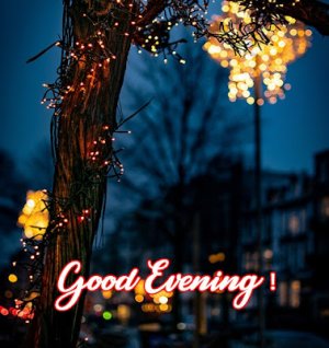 Good-evening-images (2).jpg