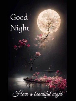 449826-Good-Night-Quotes-In-Full-Moon-And-Cherry-Blossoms.jpg