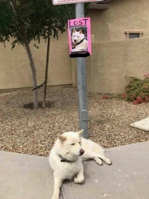 IMG_4271.jpeg