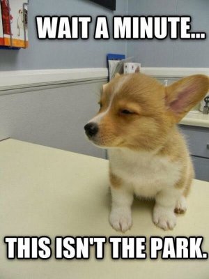 53D2BB4F-188B-449C-96FD-336C5C60FE13.jpeg
