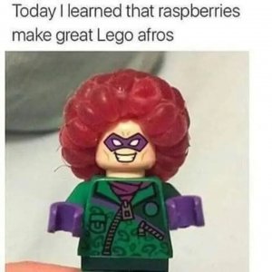 368424172_1749466452133994_4353811346017978884_n.jpg