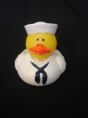 navy duck.jpg