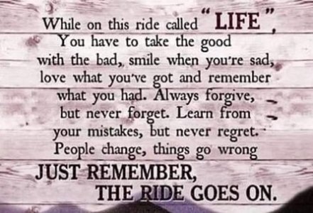 the ride.jpg