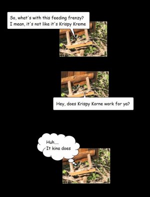 Krispy kreme.jpg