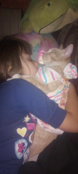 maddy and cat.jpg
