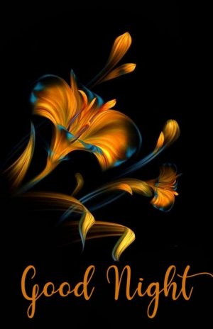 good-night-beautiful-photo.jpg