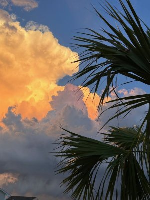 IMG_9832.jpg
