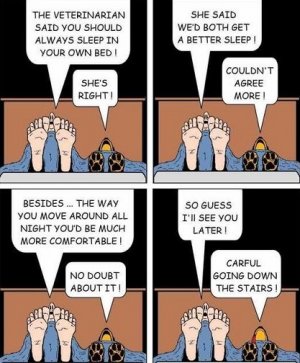 sleep.jpg