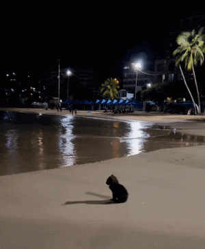 tumblr_9bf7052dd6e2ecbc55abe48e3accacb8_c0985581_500.gif