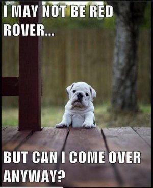 IMG_4347.jpeg