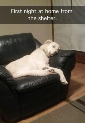 IMG_4353.jpeg