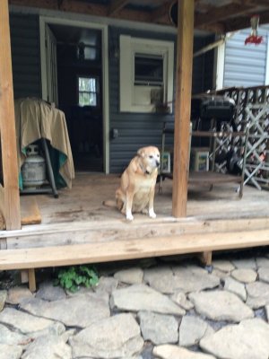 IMG_0004.jpeg