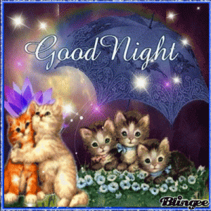 502445CC-661A-4E69-98EB-9A40826FE4B3.gif