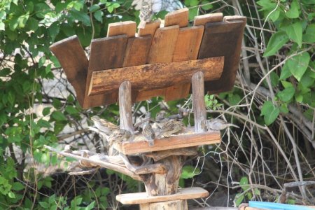 funky feeder.jpg