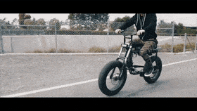 ActiveIllustriousIcelandicsheepdog-max-1mb.gif ActiveIllustriousIcelandicsheepdog-max-1mb.gif