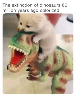 2.jpeg