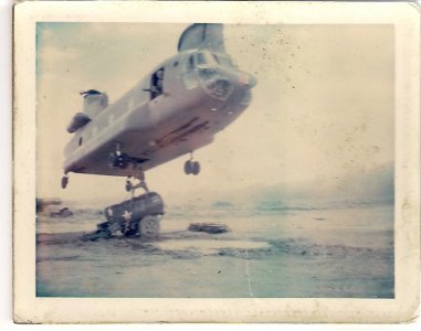 chinook.jpg chinook.jpg