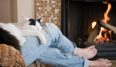 catnap.jpg
