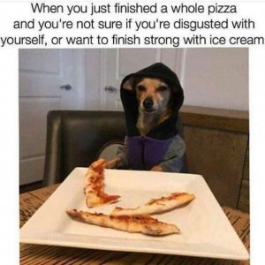 IMG_4380.jpeg