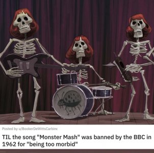 IMG_4354.jpeg