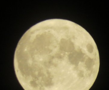 IMG_6827.JPG IMG_6827.JPG