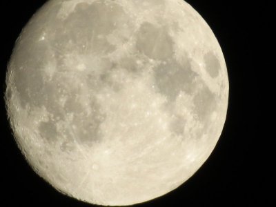 IMG_4264.JPG IMG_4264.JPG