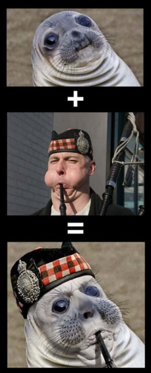 funny-weird-pictures-540-x-1329-evko3nteqyhb9tug.jpg