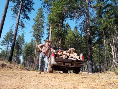 Getting firewood 8-2023.jpg