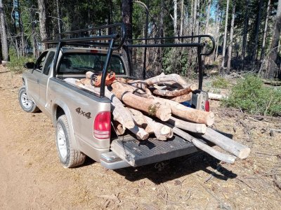 Getting firewood 8-2023 (2).jpg