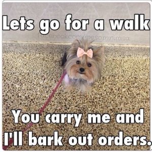 156C8CDF-473E-47B2-B52A-824715B21A43.jpeg