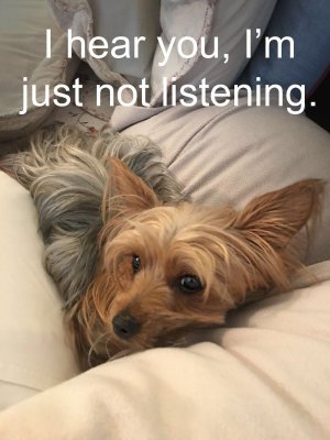428F7E54-470E-4E33-BA36-BA8BA49B160F.jpeg