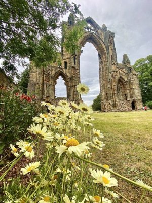 peace yorkshire 4  S.jpg